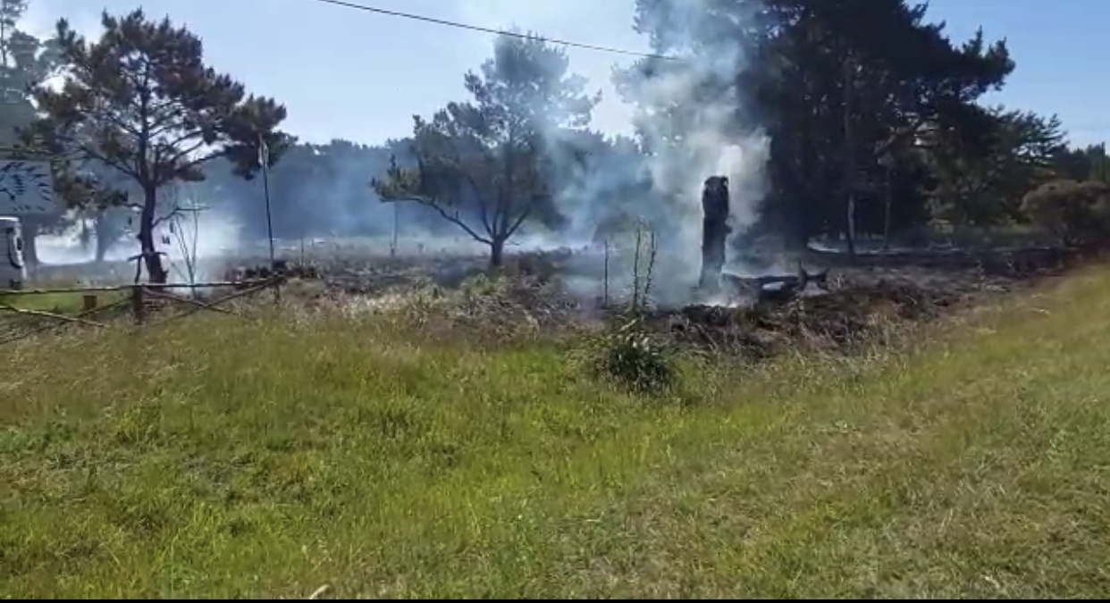 Incendio en los bosques del Barrio El Marquesado, al sur de Mar del Plata